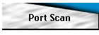 Port Scan